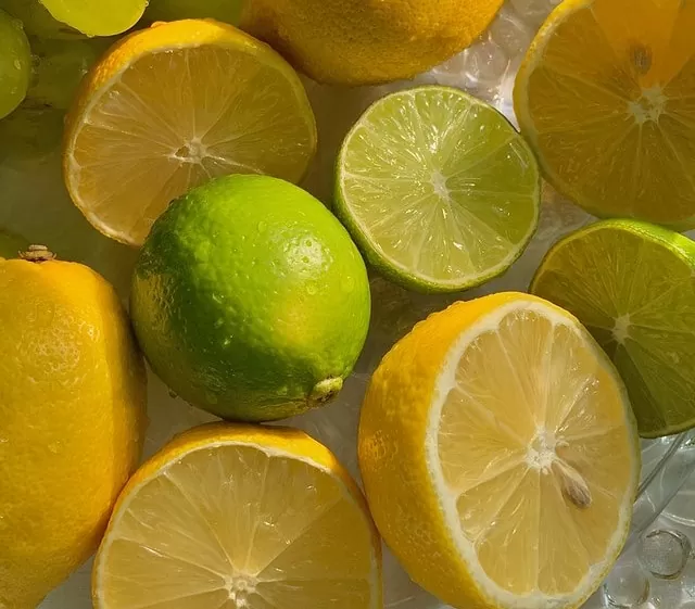 citruses in acqua di gio